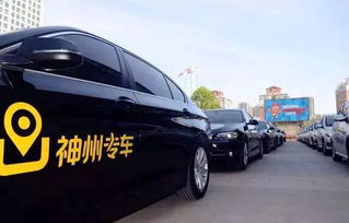 神州租车前三季业绩大增 汽车租赁量飙升65%，出租率达历史高位